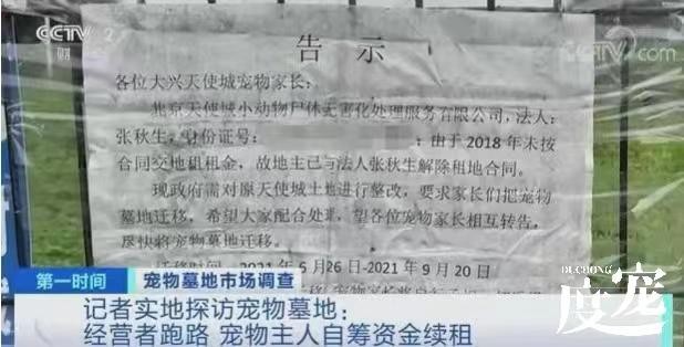 宠物墓地单价堪比房价是选择墓地还是骨灰寄存